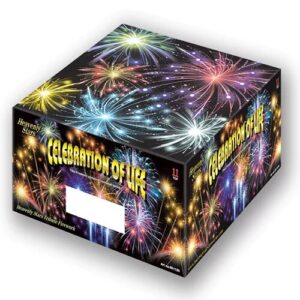 Memorial Fireworks: Celebration of life